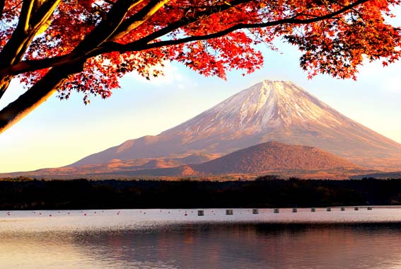 Featured image for When’s the best time to walk in Japan?