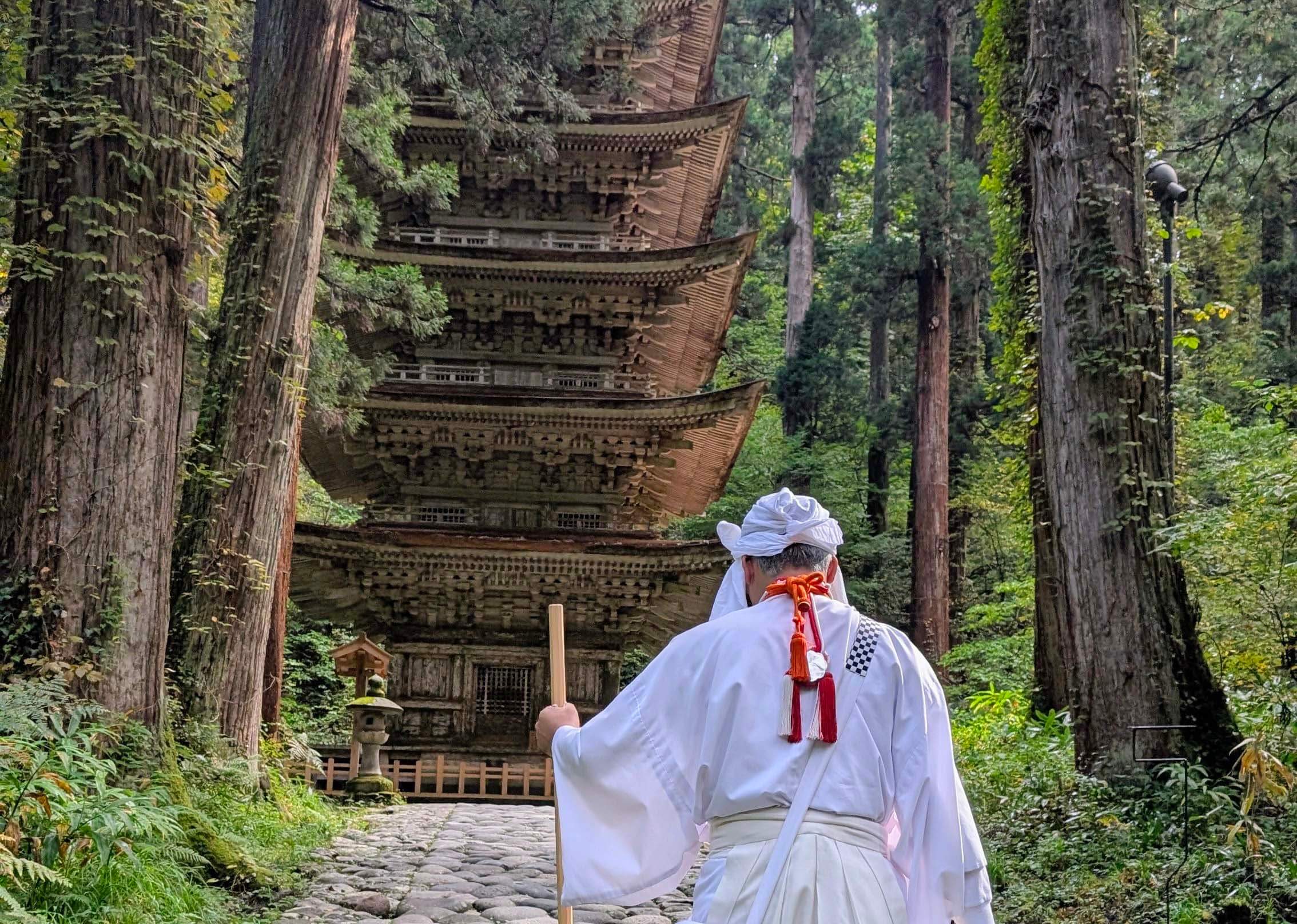 Featured image for How to Choose the Best Life’s An Adventure Walking Tour in Japan: Compare Unique Routes, Tips & Advice 