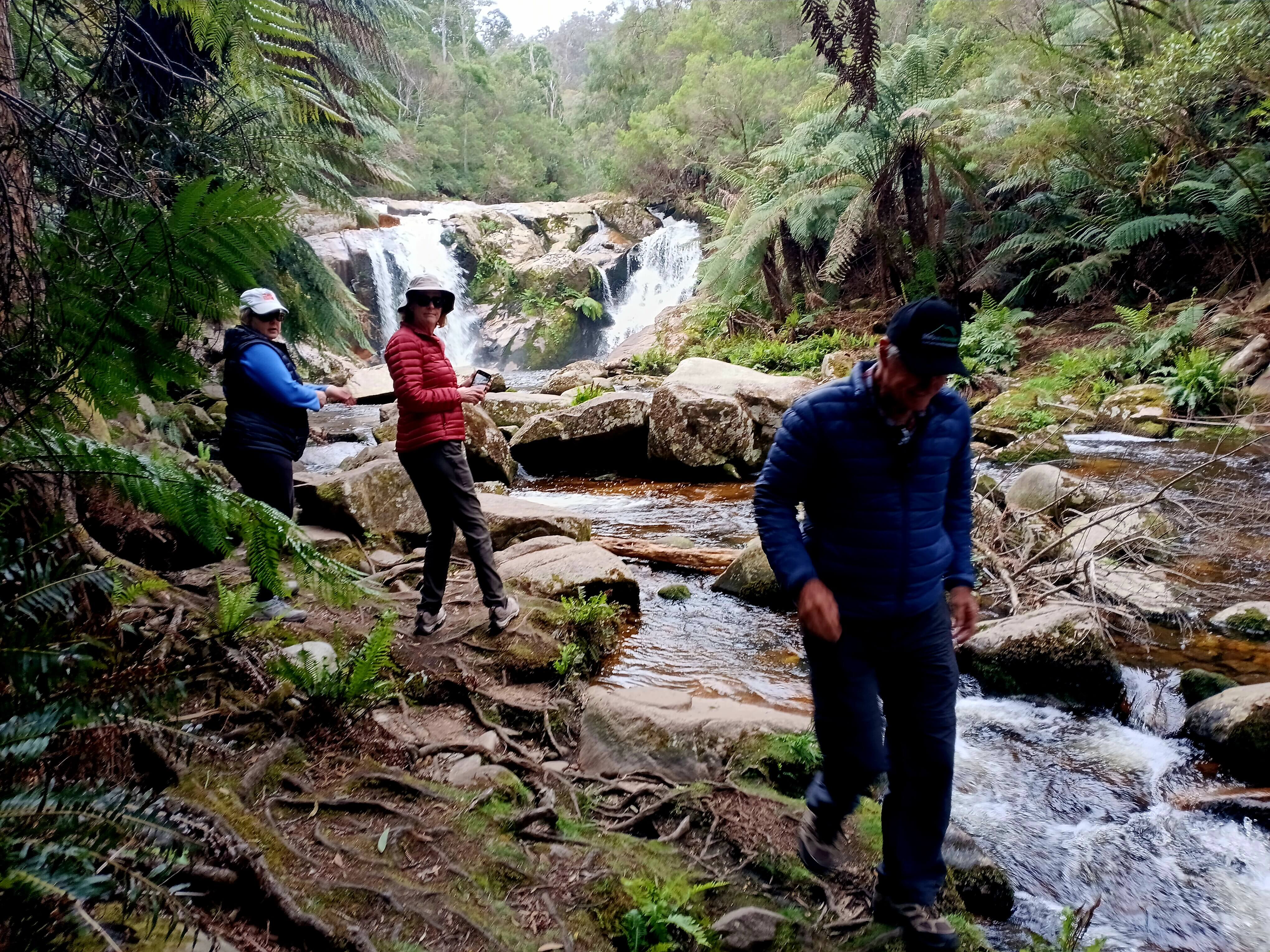 Tasmania Pack-Free Walks, Wild, Wonderful, Wow-Mazing