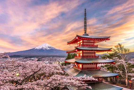 Japan’s Izu Peninsula & Mt Fuji Pack-Free Walk, Nature, Culture, and Wow-Mazing Fuji Views