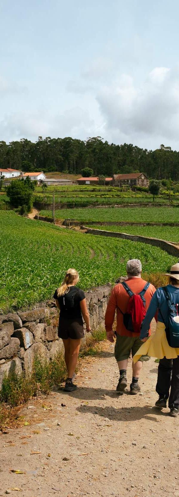 Walking to Barcelos on the Portuguese Camino de Santiago