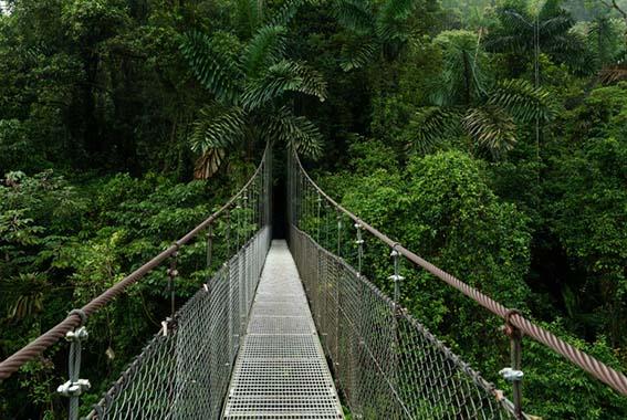 13 day Costa Rica and Panama Walk Highlights tour experience photo