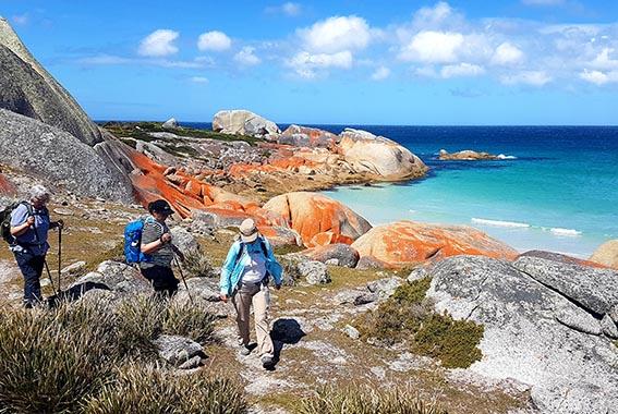 Personalised Small-Group Bay of Fires Walking Tours Tasmania