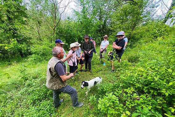 Truffle Hunting in Tuscany
