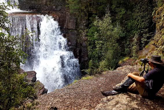 World-Class Guides Tasmania Waterfall Walk