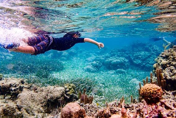 19 day Central America Highlights – Mexico to Nicaragua tour experience photo