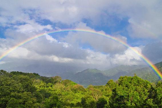 13 day Costa Rica and Panama Walk Highlights tour experience photo
