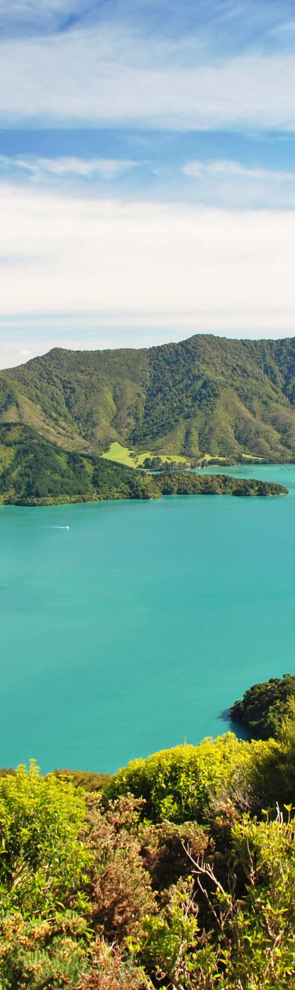 Queen Charlotte Sound Viewpoint, Marlborough Sounds New Zealand with Life’s An Adventure Walk
