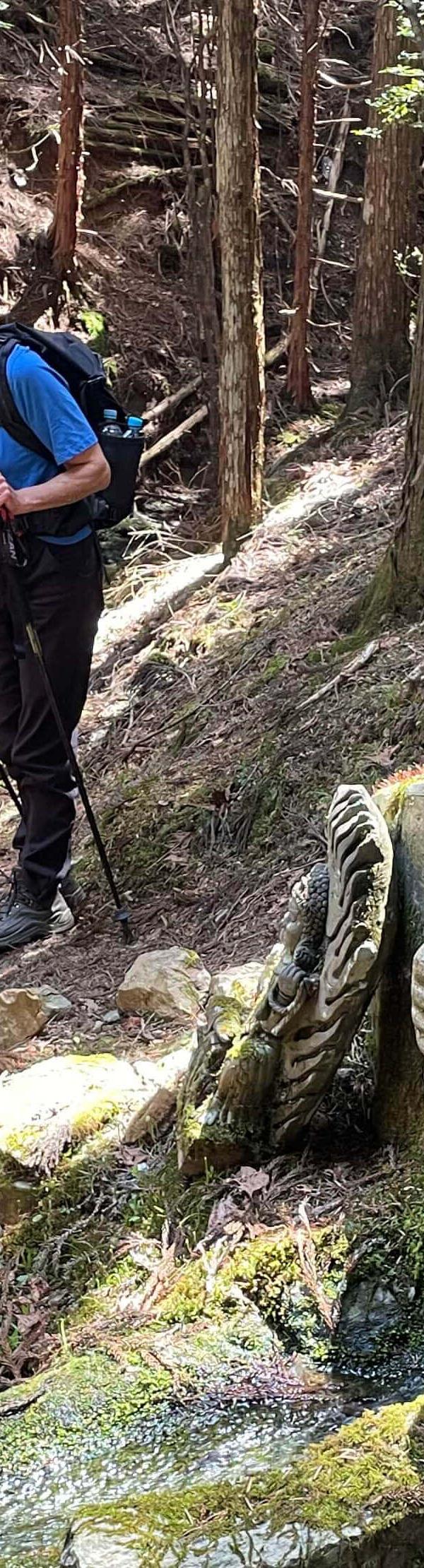 Flexible Walking Tour in Japan with Private Transfers