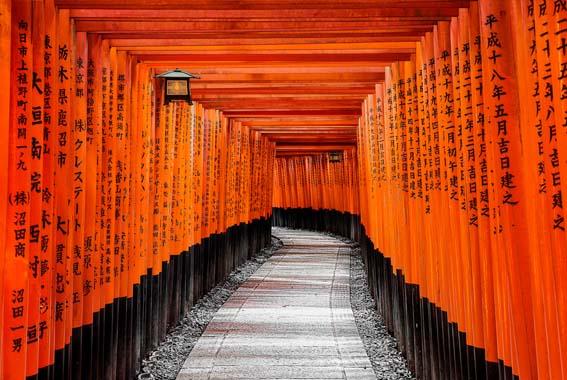 Fushimi Inari Shrine Torii Gate Walk in Kyoto, Japan