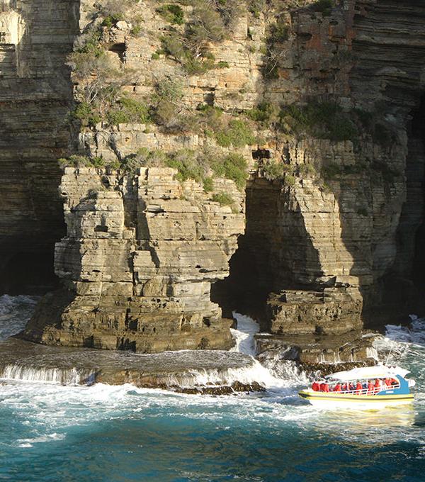 Tasman Island Wilderness Cruise – Cape Pillar Sea Cliffs, Tasmania | Life’s an Adventure