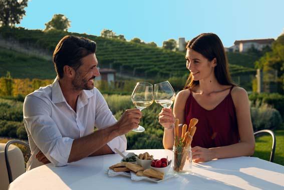 Winery Visit and Wine Tasting Experience