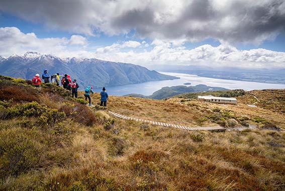 Fiordland Great Four Walk tour experience photo