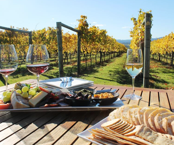Local Tasmanian Food and Wine Experience