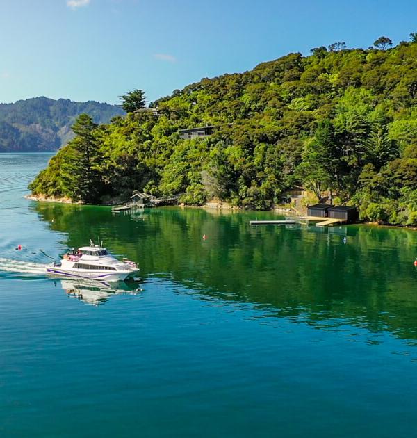 Scenic Cruise through Queen Charlotte Sound Marlborough Sounds