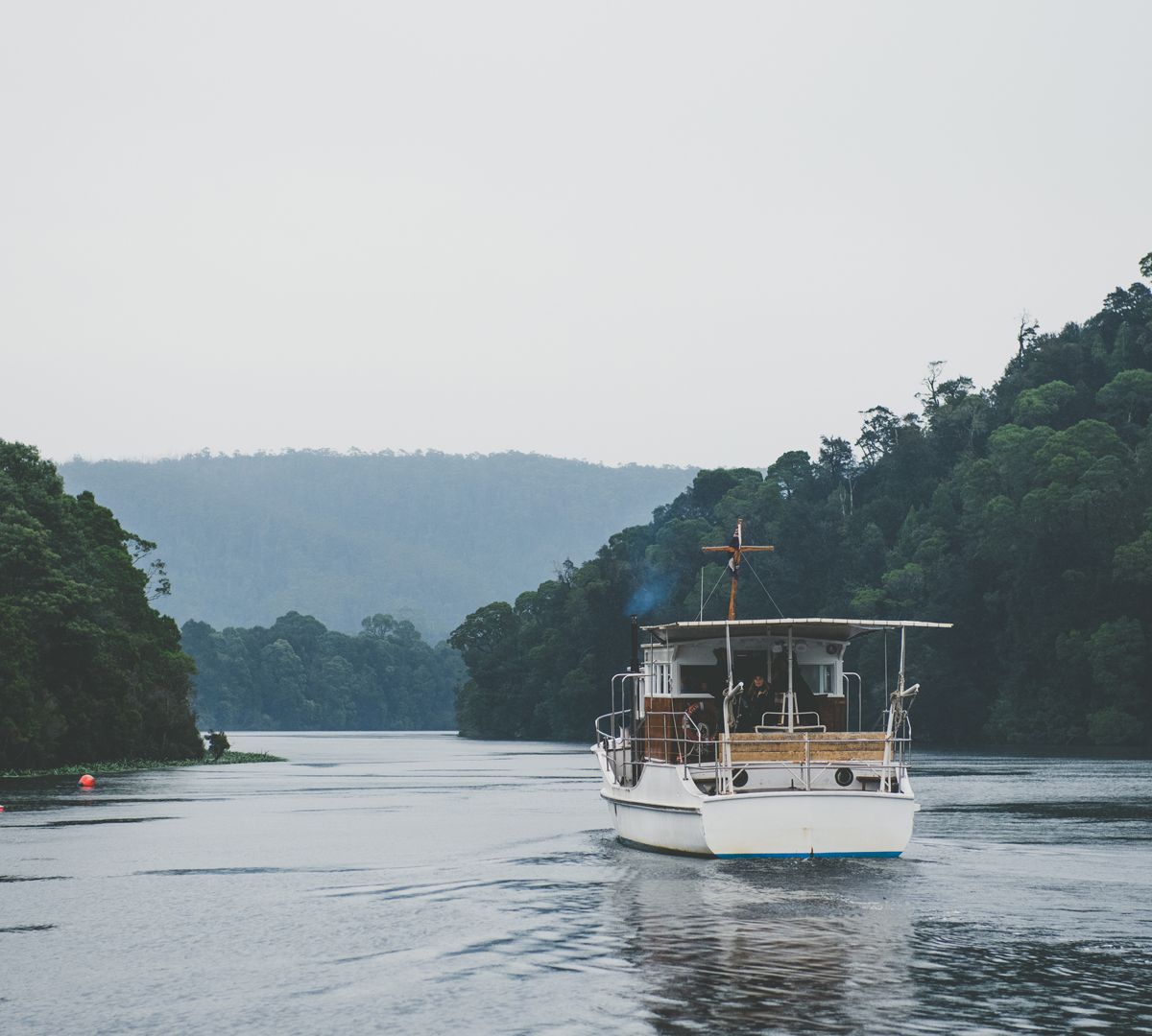 Tarkine Walk guided walking tour in scenic destination - Moderate difficulty 4 day adventure with expert local guides