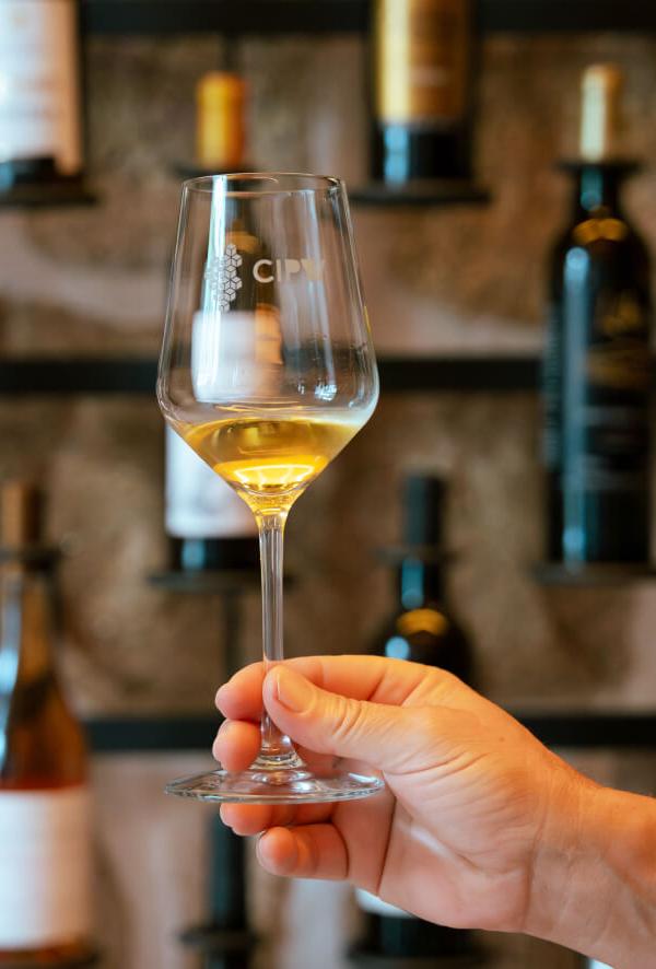 Portuguese Camino Walk