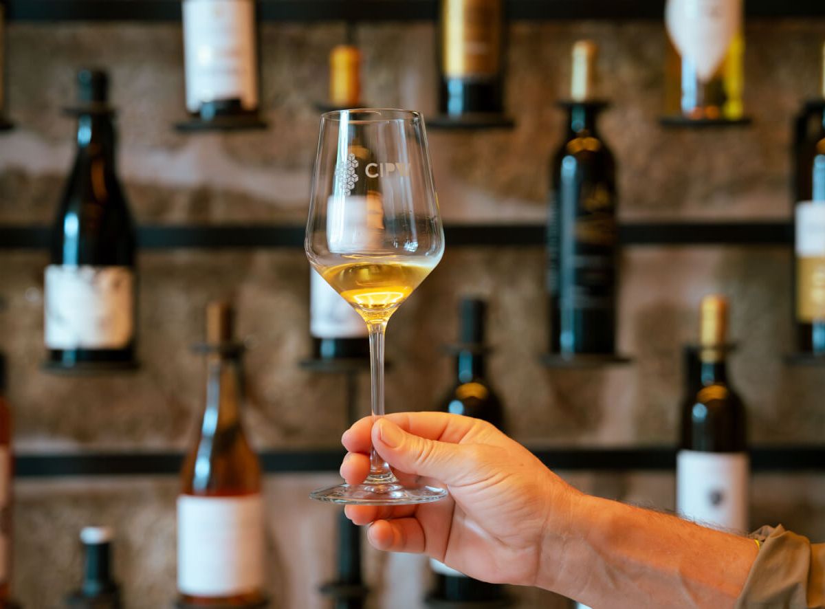 Portuguese Camino Walk guided walking tour in scenic destination - Moderate difficulty 8 day adventure with expert local guides