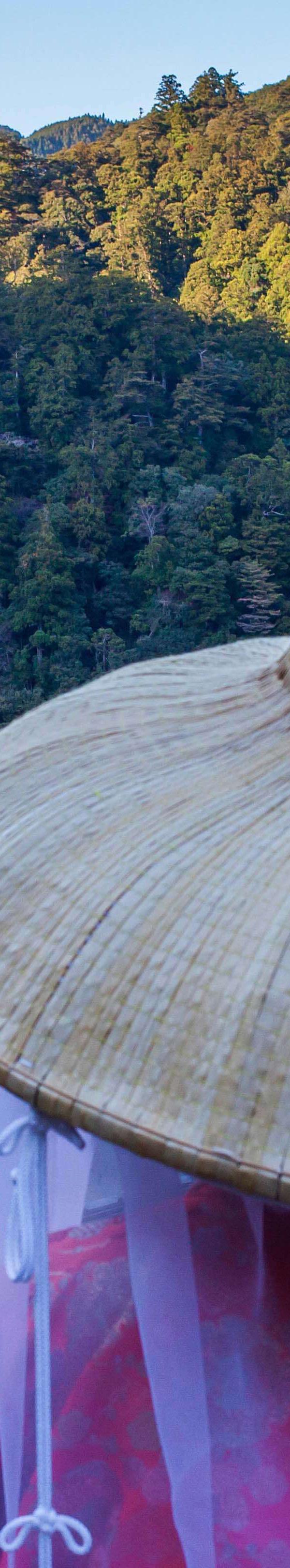 Kumano Kodo Nakahechi Route Walk