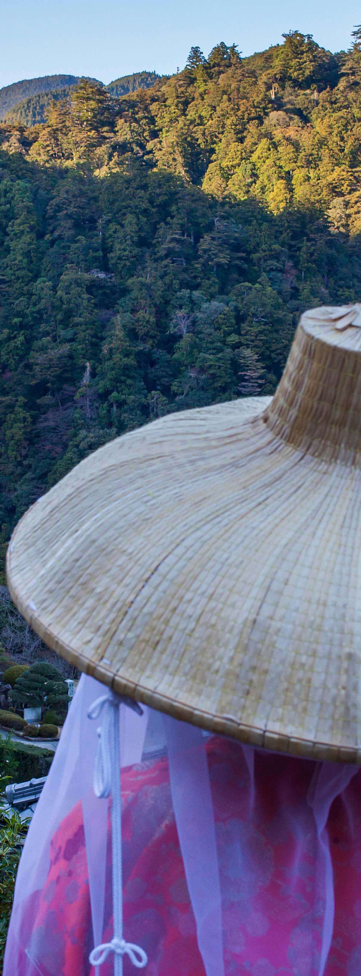 Kumano Kodo Nakahechi Route Walk guided walking tour in scenic destination - Moderate difficulty 7 day adventure with expert local guides